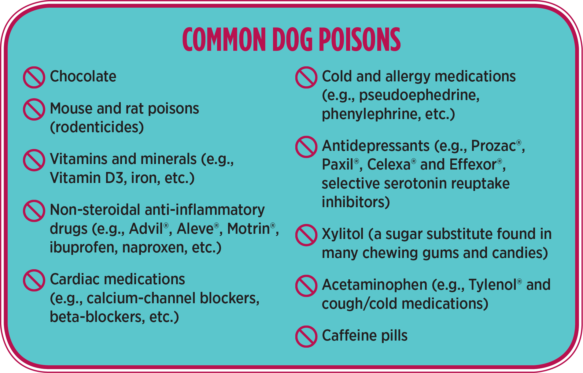 Caring for Our Pets