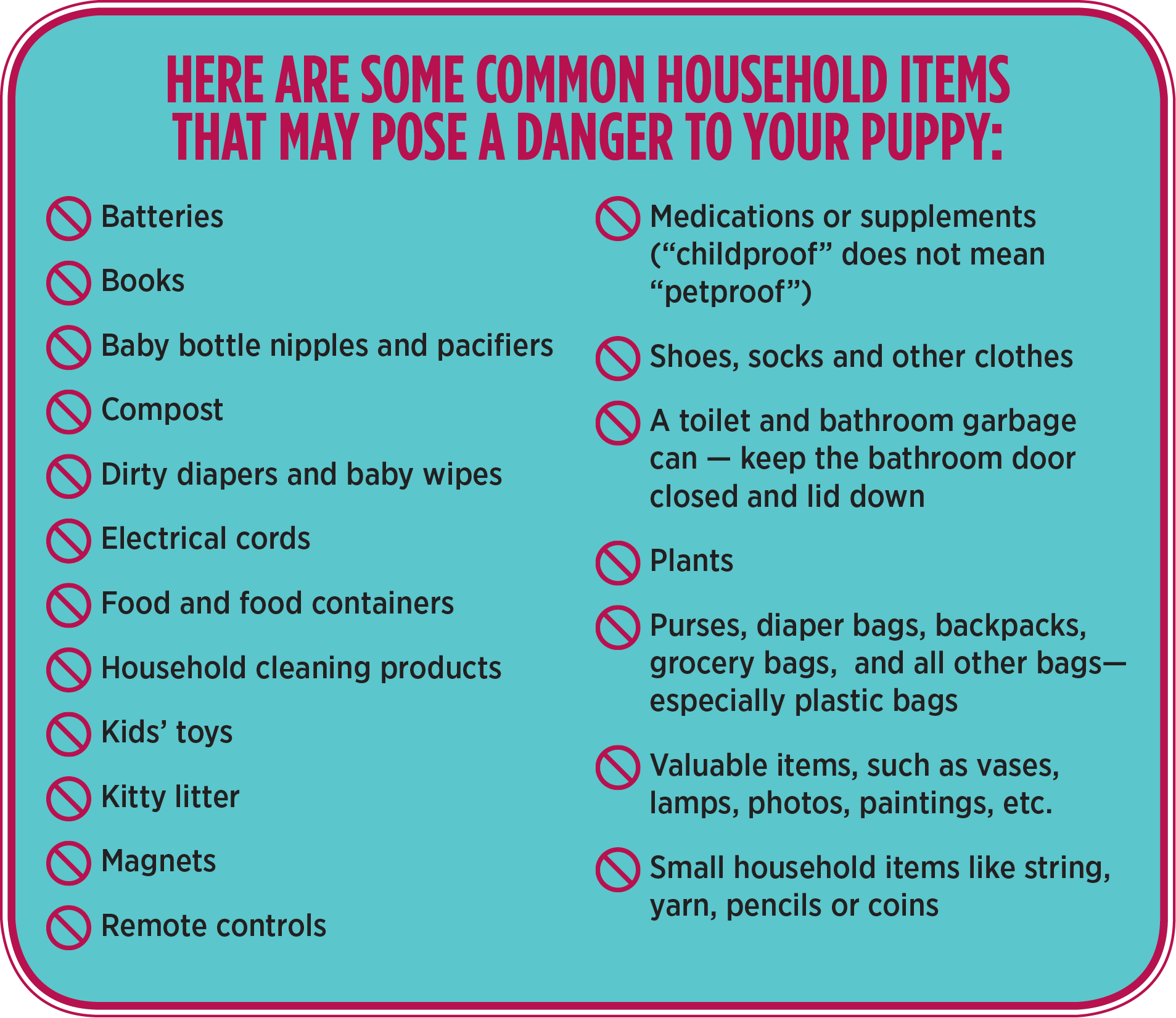 Common household items that could be life-threatening to your