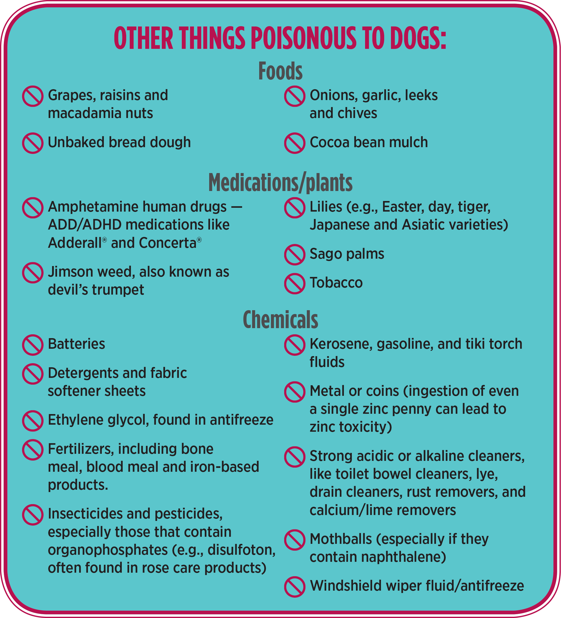 Caring for Our Pets
