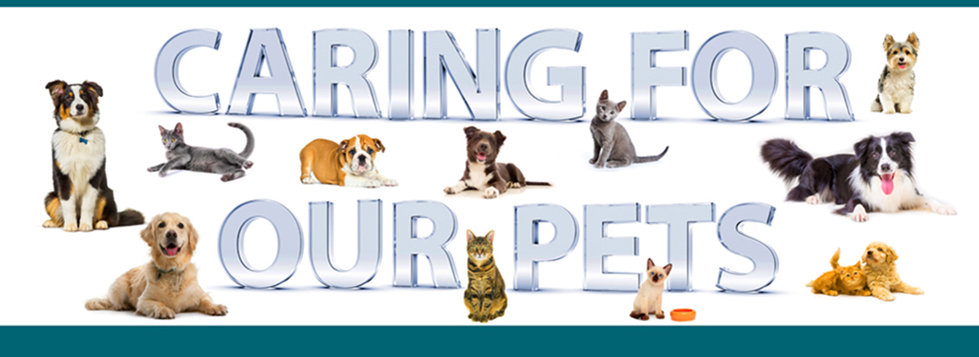 Caring For Our Pets