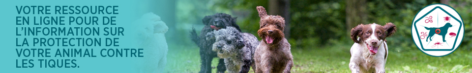 NOUVELLE TIQUE EN VILLE